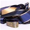 Order  Ribbon Pack - Blue and Gold